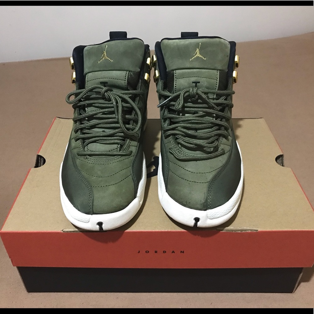 Jordan retro 12.